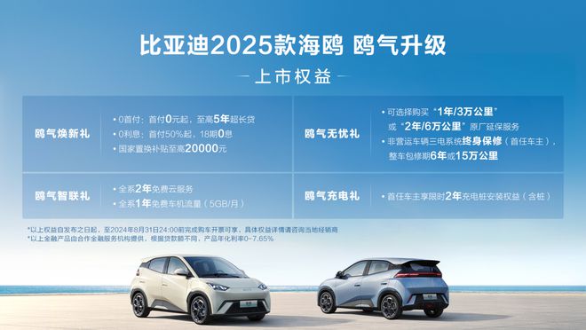 鸥气升级比亚迪2025款海鸥正式上市售698万元-858万元(图2)