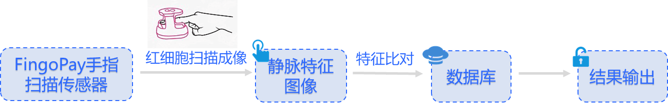 海外研究：生物识别支付应用实践浅析与前景预判(图5)