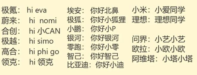 语音控制是AI智能还是智障？笑过国产车语音的现在都真香了(图2)