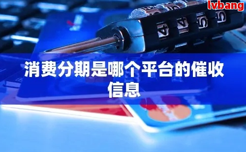 商城分期平台(图6)