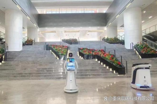 五星级酒店前台迎宾接待机器人(图1)