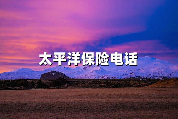 太平洋保险电线小时专业守护您的风险保障专家(图1)