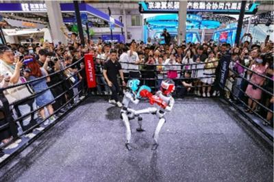 2025世界机器人大会在北京举行人形机器人企业参展数量创新高(图1)
