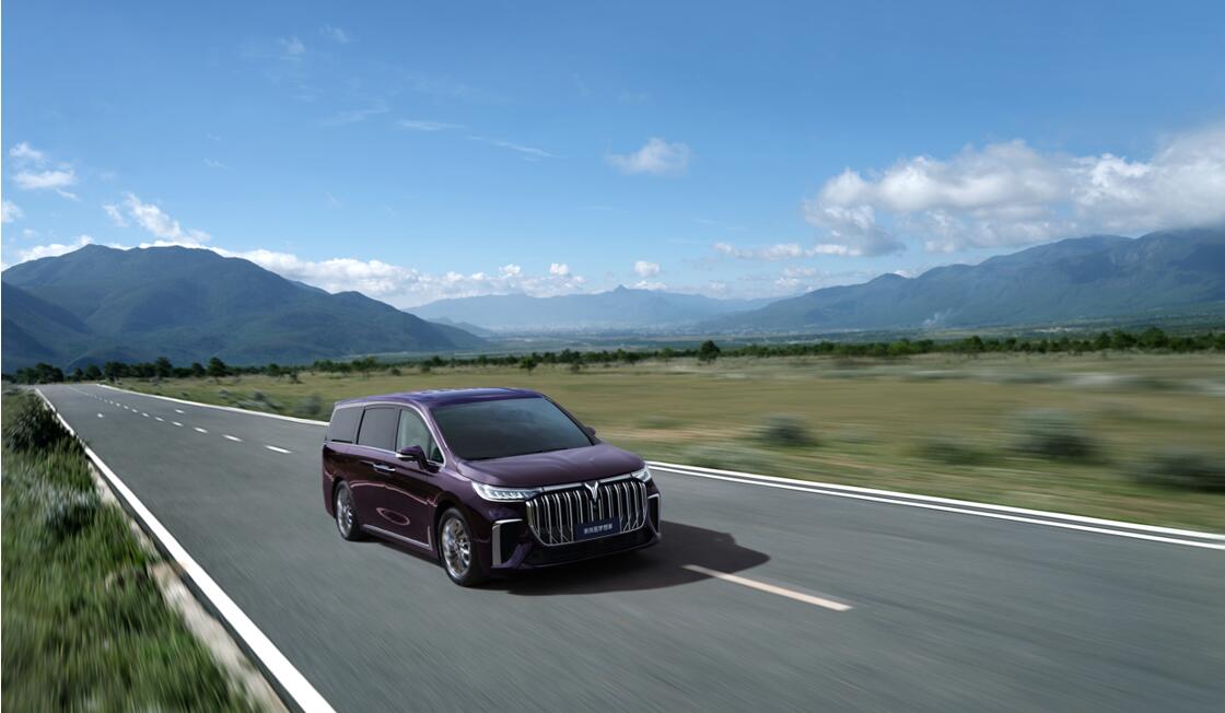 真安全、线款新岚图梦想家正式上市(图3)