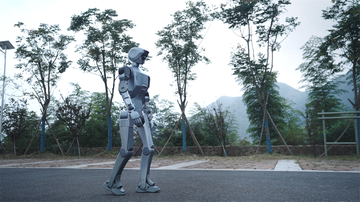 2025人形机器人深度横评：五大维度解析谁才是真正的“实用型”机器人(图3)