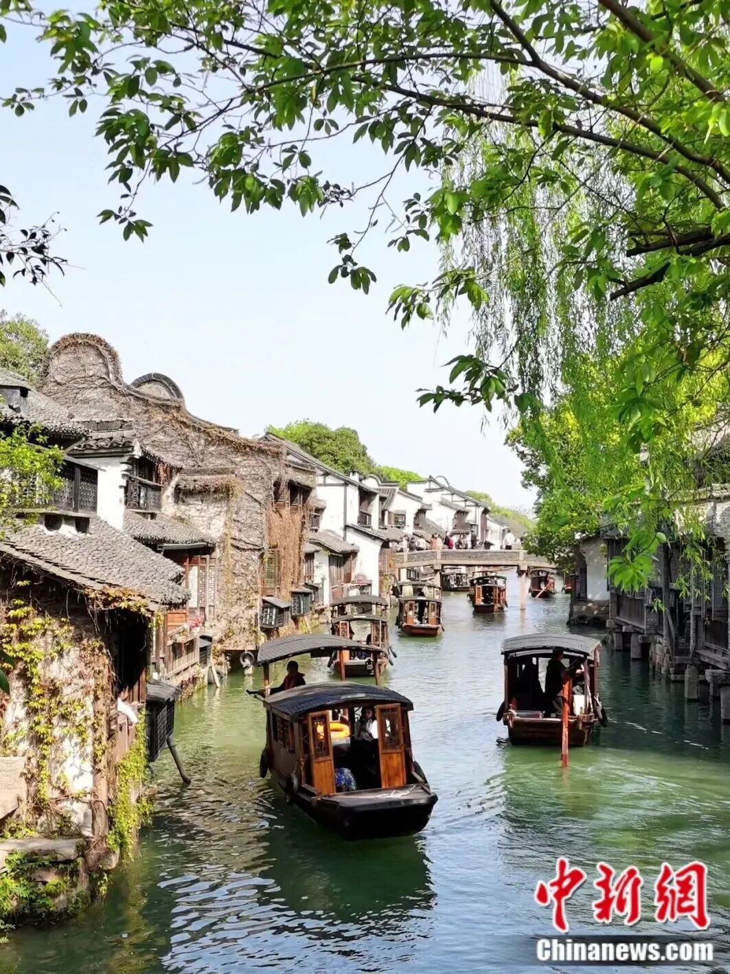 从乌镇出发这场“数字之约”改写全球网络生态(图4)