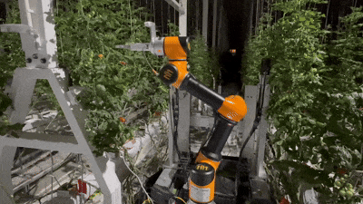 焊得了钢、摘得好果、陪得了老！具身智能正让机器人“超进化”(图6)