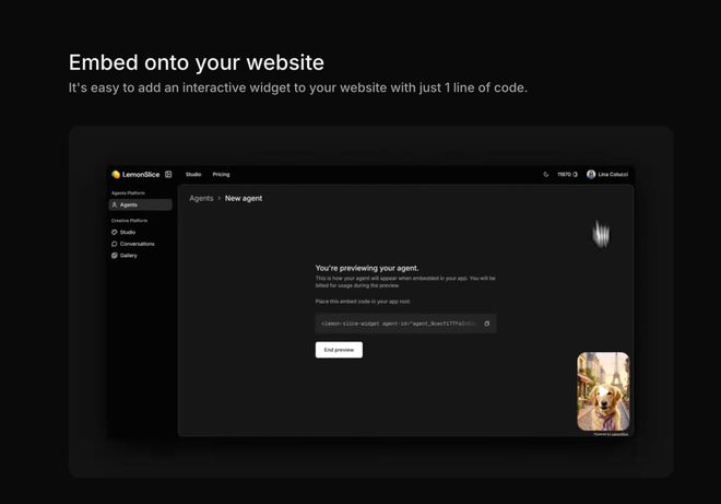 融资1050万美金世界上首个交互式语音AI模型(图6)