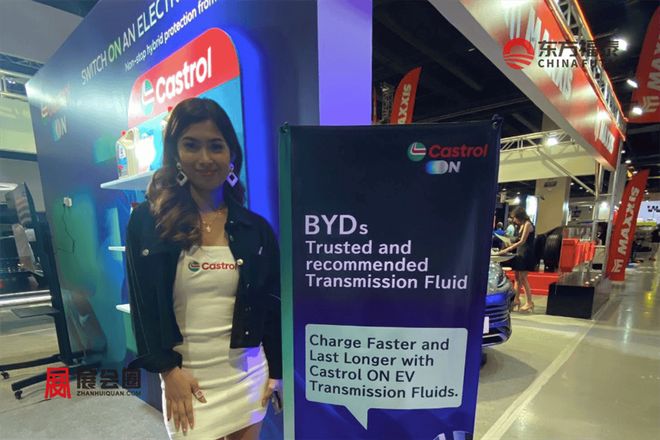 2026年菲律宾马尼拉国际充电桩展览会EVAP2026(图20)