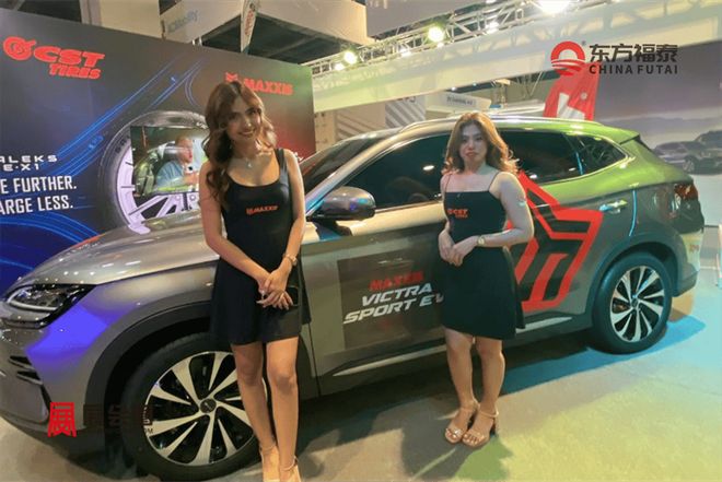 2026年菲律宾马尼拉国际充电桩展览会EVAP2026(图25)