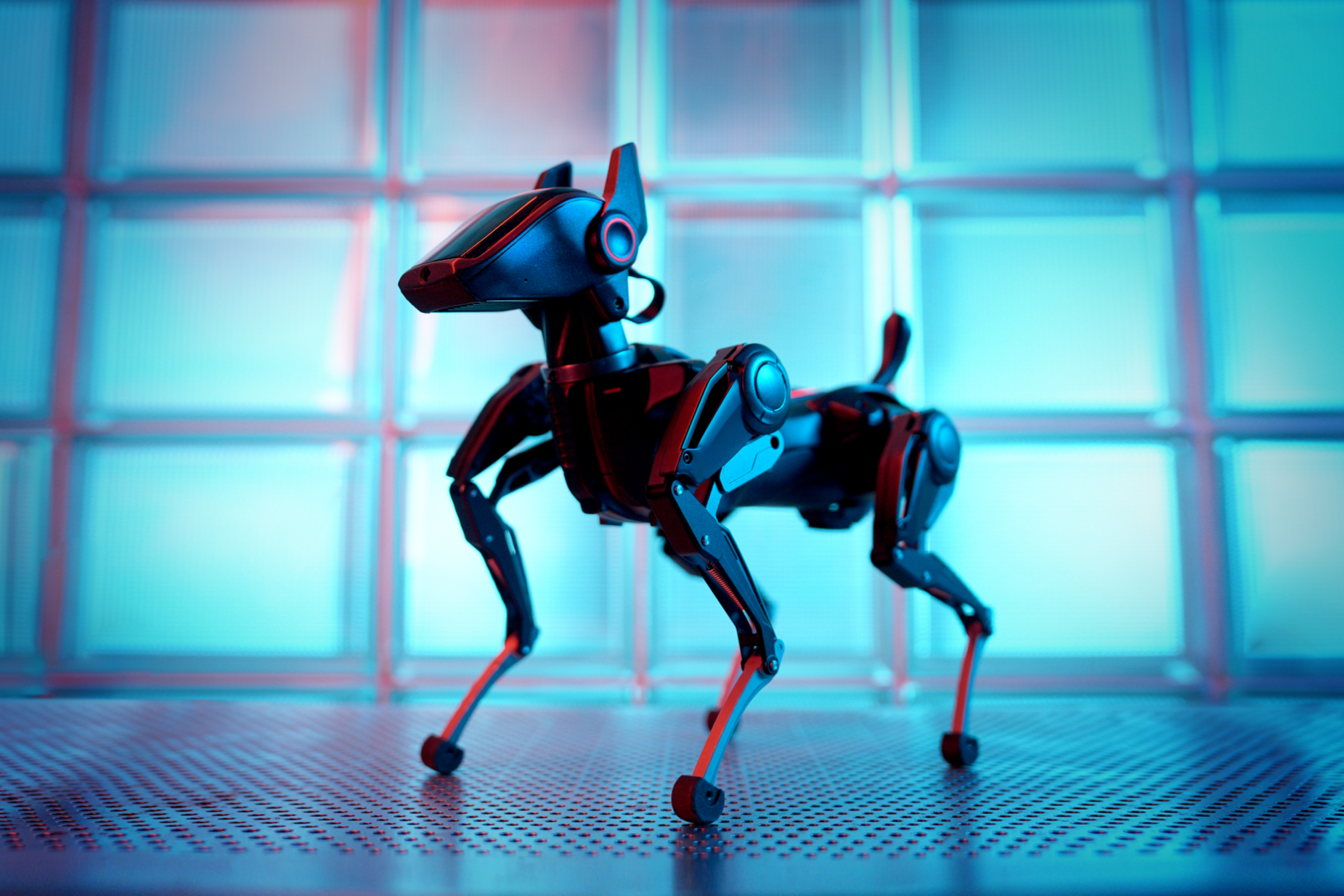 重庆造机器狗“哮天”开启预售(图1)