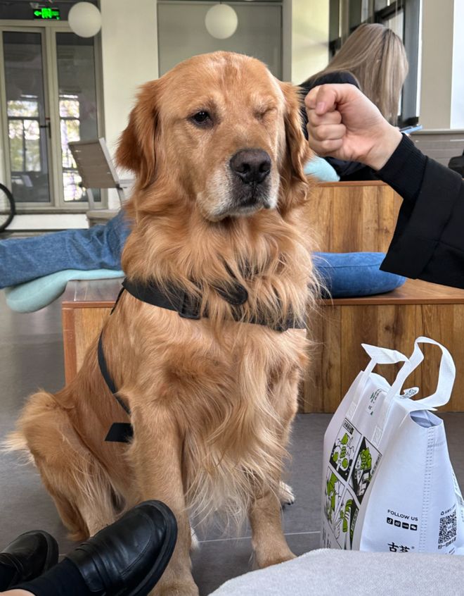 为了春节能安心躺平我把所有App都用AI魔改了一遍。。。(图1)