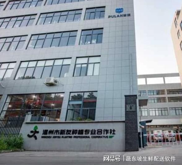 蔬东坡和观麦谁更懂生鲜配送AI应用？蔬东坡一步领先步步领先(图3)